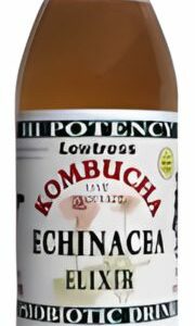 lewtress echinacea kombucha tea probiotic health drink 2 x 1 litre bottles